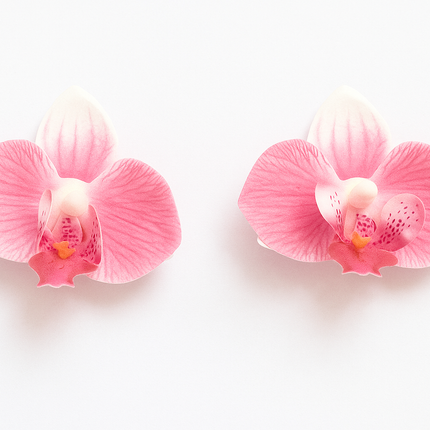 Two pink orchids on a white background