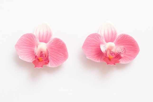 Two pink orchids on a white background