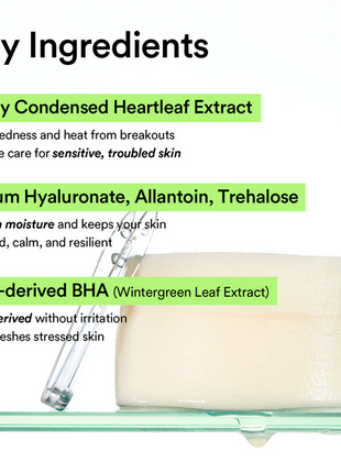 ABIB Heartleaf Spot Pad Calming Touch 150ml / 5.07 Fl.Oz (80 Pads)