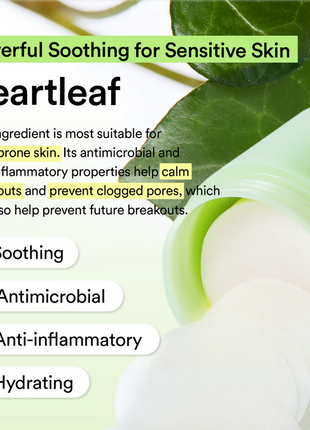 ABIB Heartleaf Spot Pad Calming Touch 150ml / 5.07 Fl.Oz (80 Pads)